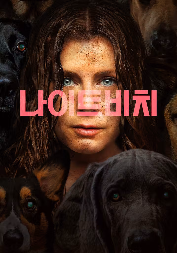 나이트비치