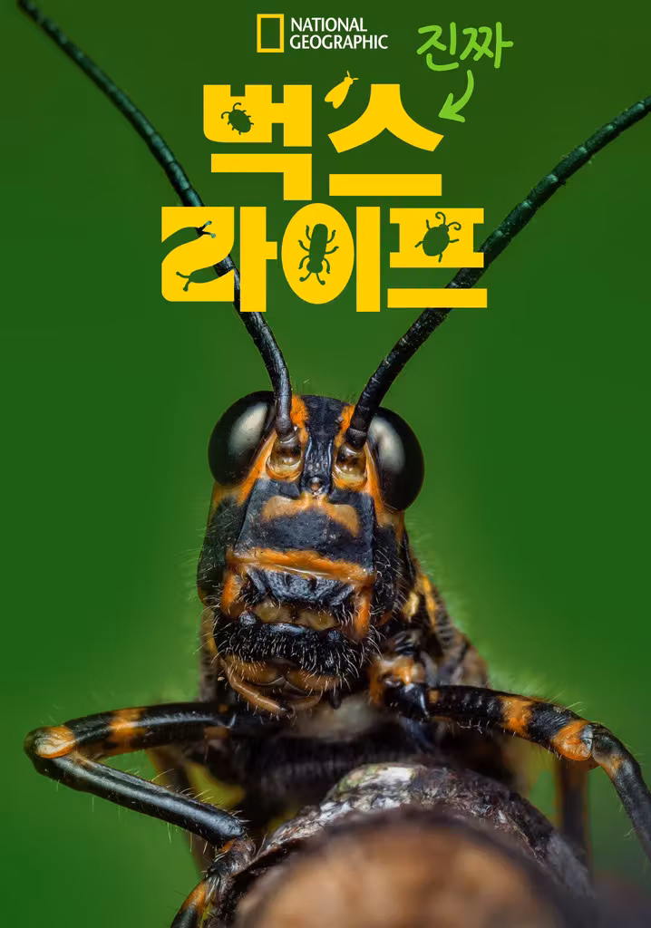 진짜 벅스 라이프