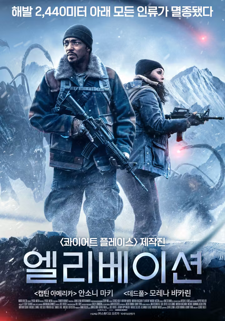엘리베이션