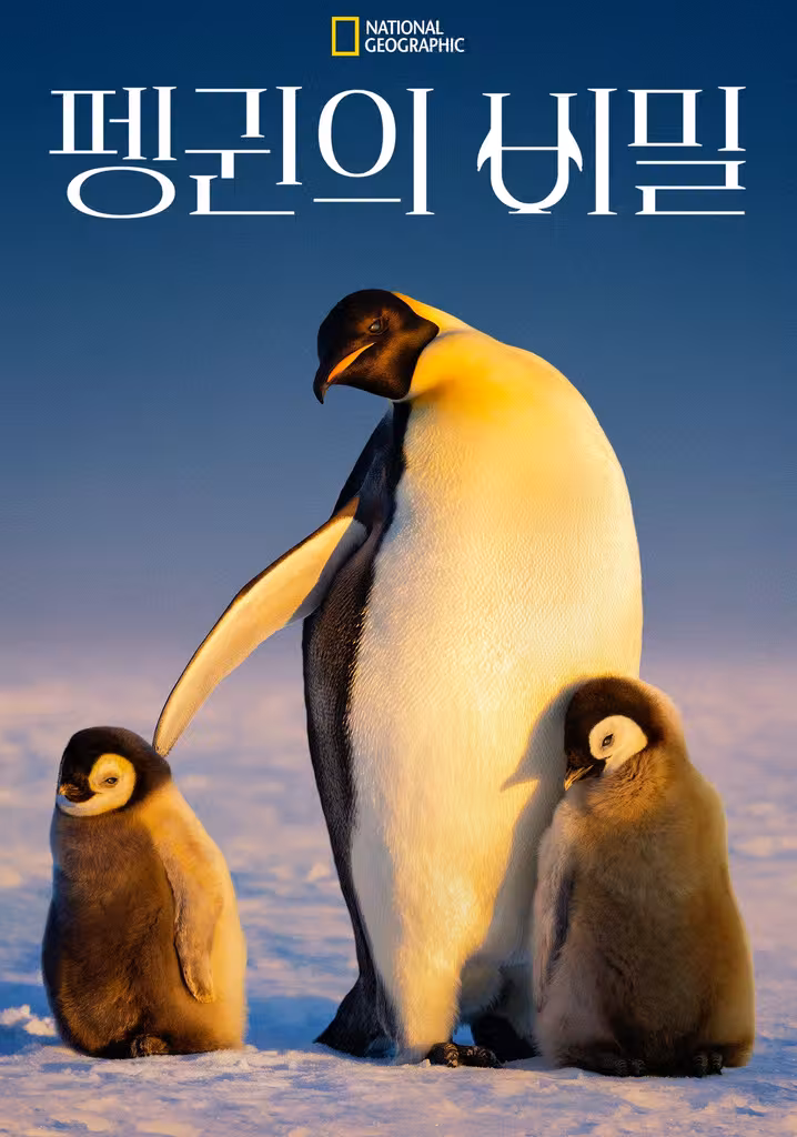 펭귄의 비밀