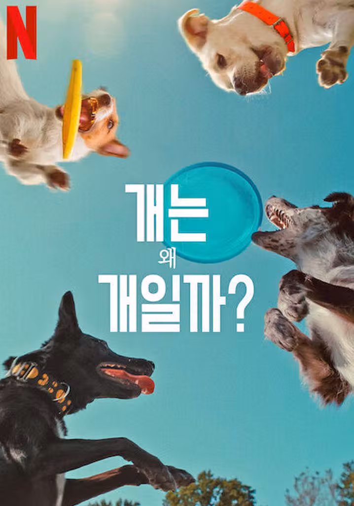 개는 왜 개일까?