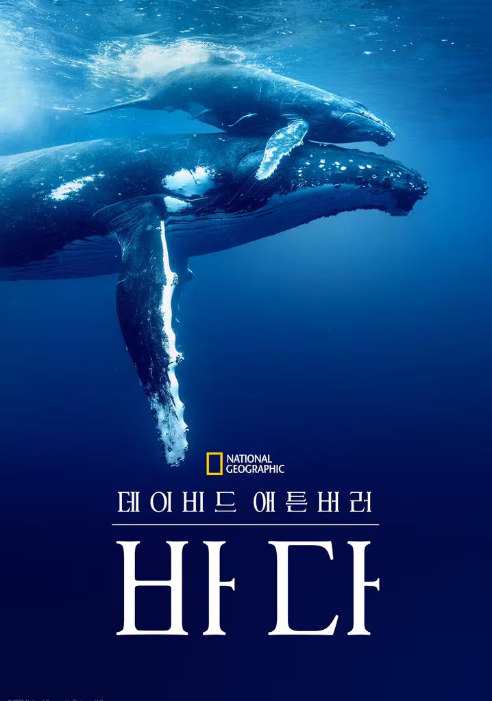 데이비드 애튼버러: 바다