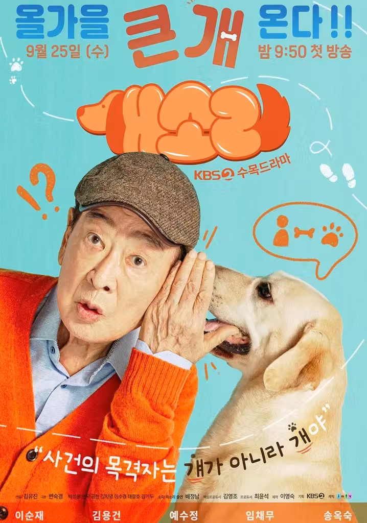 Dog Knows Everything