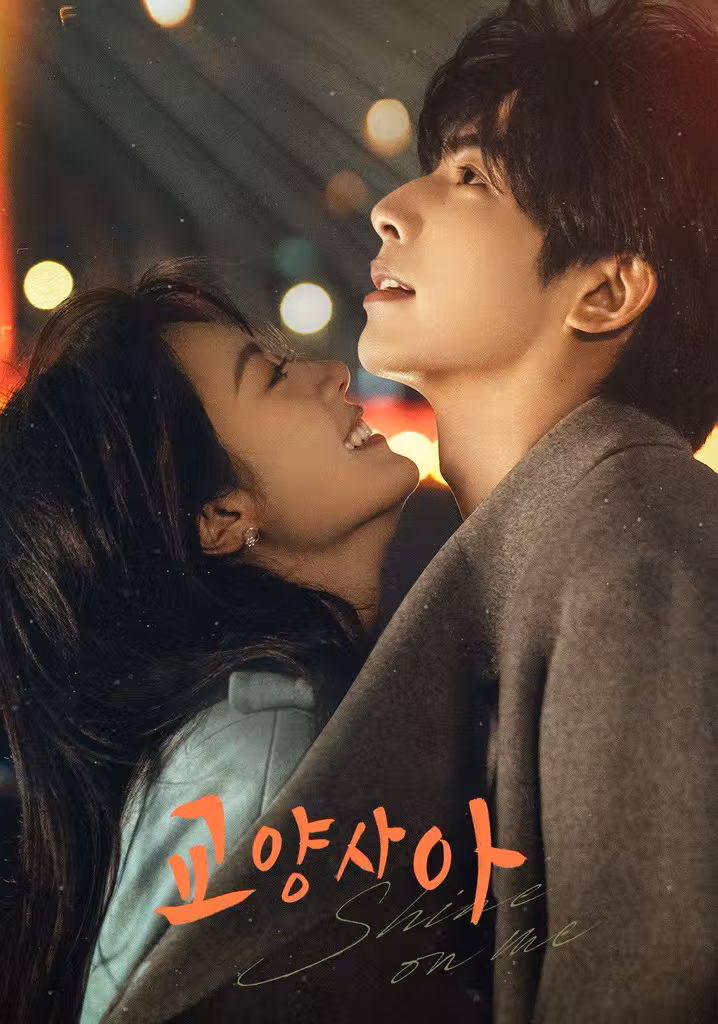 교양사아 : 눈부시게 빛나는 햇살