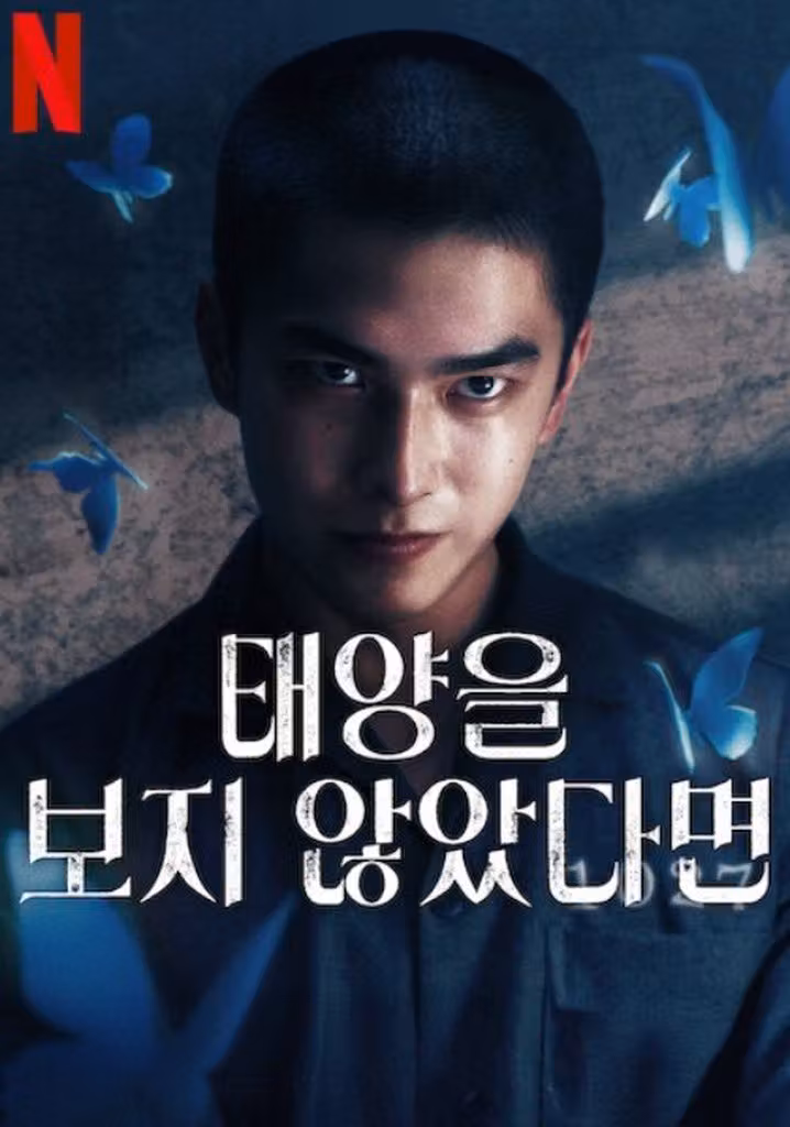 태양을 보지 않았다면