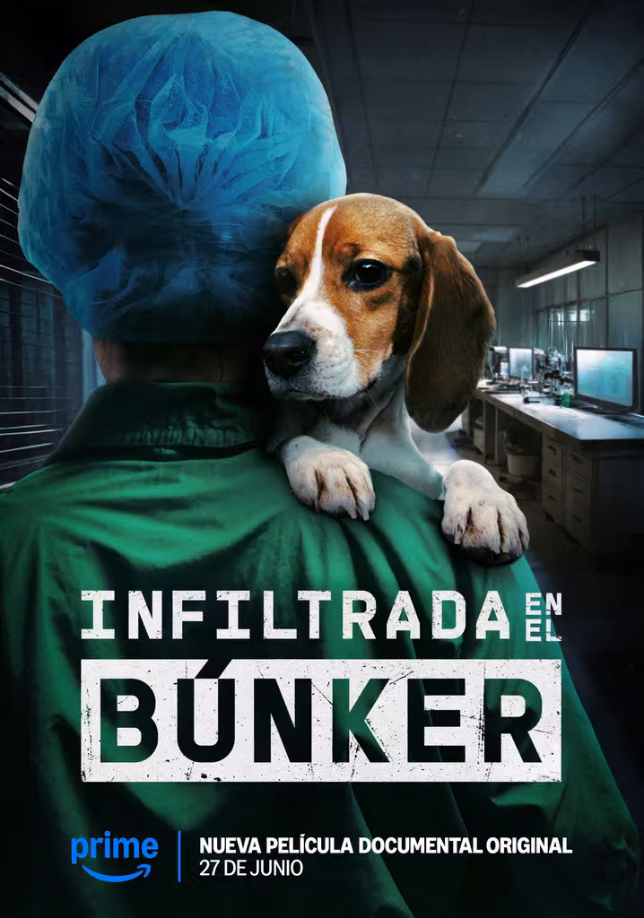 Undercover. Inside the Bunker