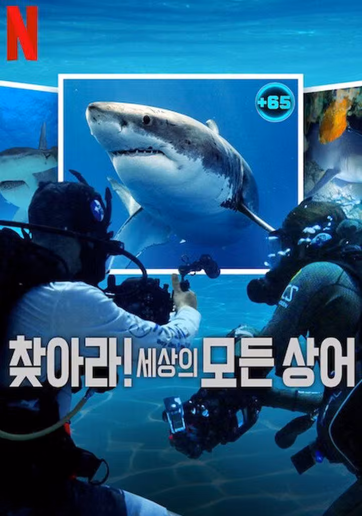 찾아라! 세상의 모든 상어