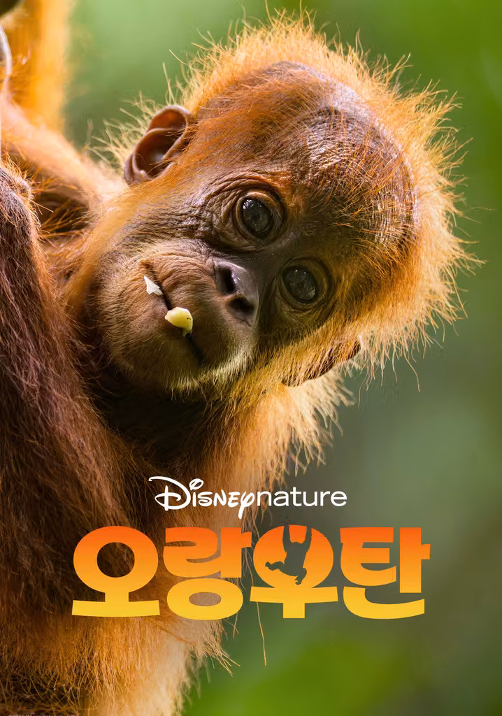 오랑우탄