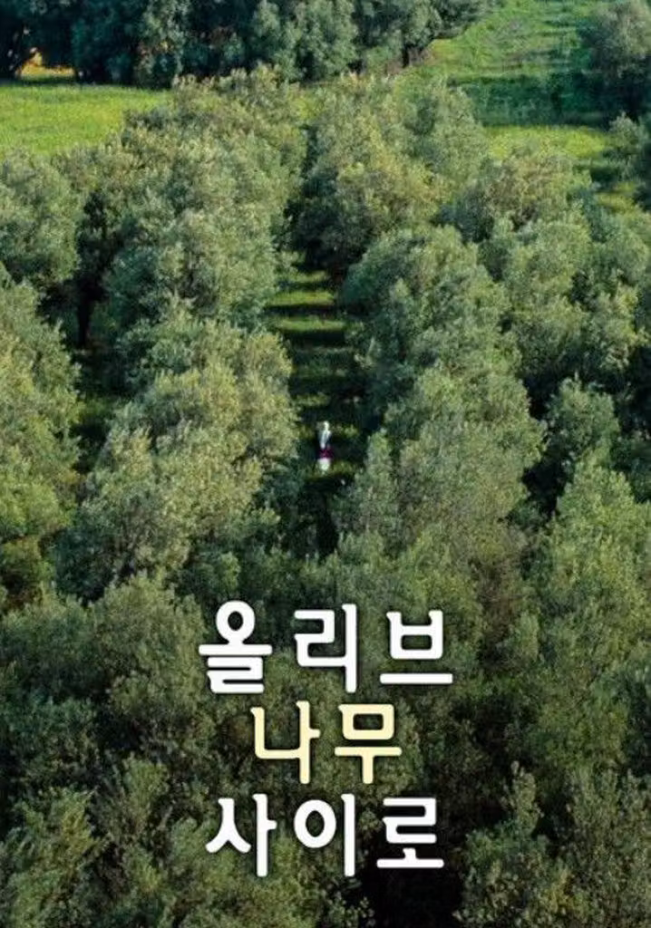 올리브 나무 사이로